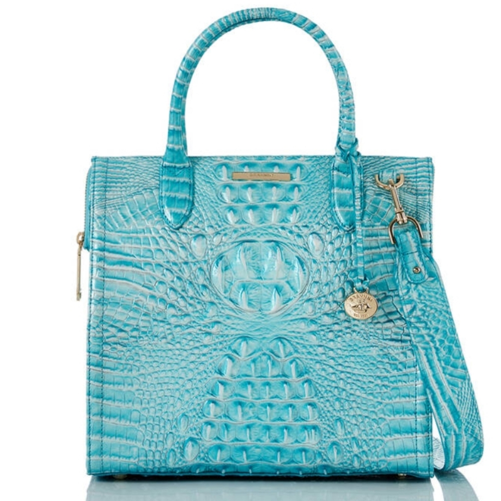 NWT 🌹Brahmin Caroline Handbag Dusty Blue Melbourne Collection leather - Picture 15 of 16